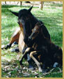 just born