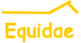 Equidae